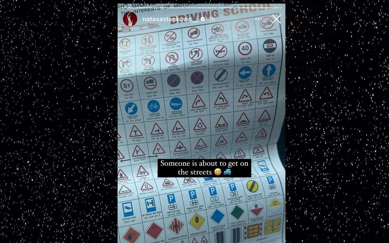 (Photo Courtesy: Natasha Stankovic Instagram)